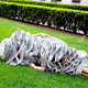 Image for article titled The Week In Gizmodo